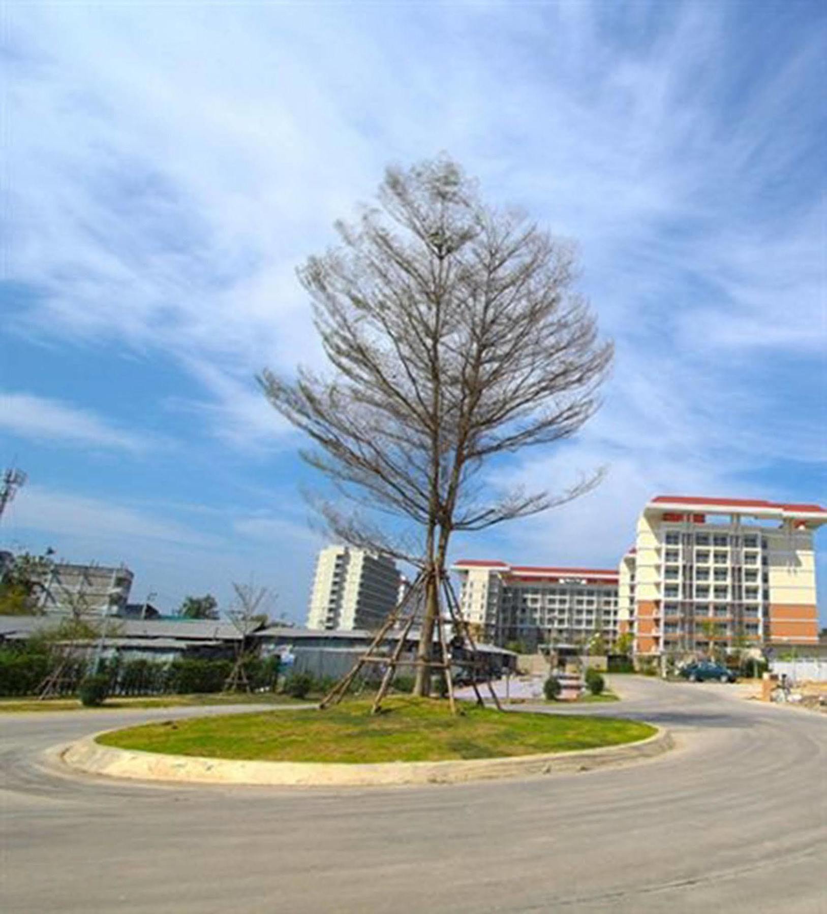 Grow Residences Бангкок Экстерьер фото